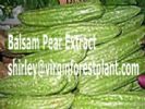 Balsam Pear Extract(Shirley At Virginforestplant Dot Com)